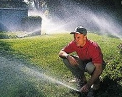 Man Working - Sprinkler System Design